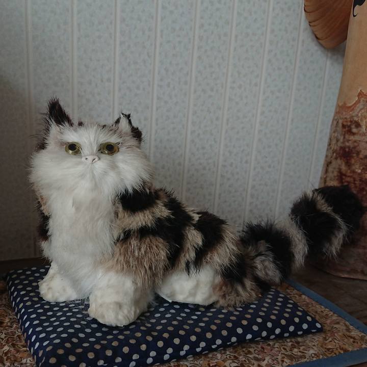 9f1e4150 d125 46d1 94df 0aa0fda3a955 1590554962458