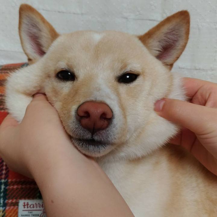 9f1e4a04 0e20 4489 a87c b6a1969faf80 1515198341091