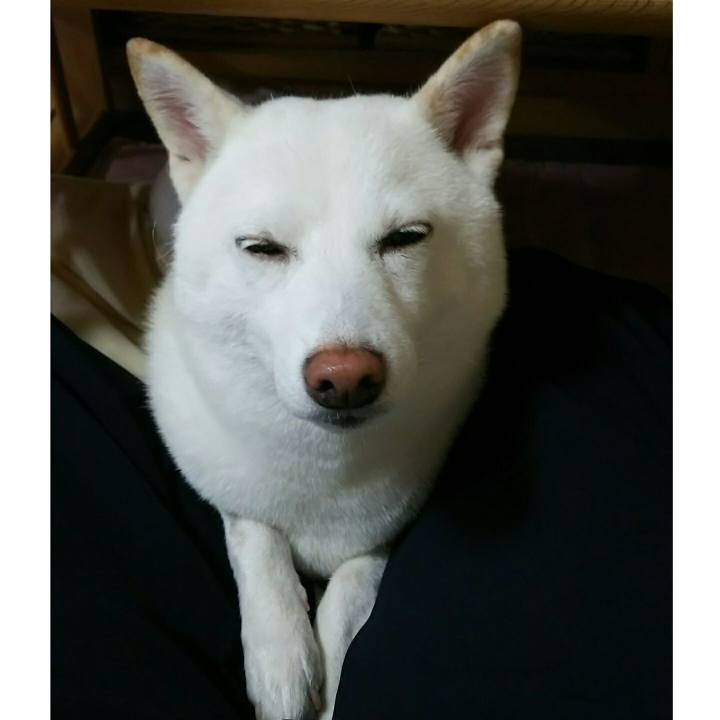 9f1e609e e141 4816 9c88 1da8649e18f7 1535286551060