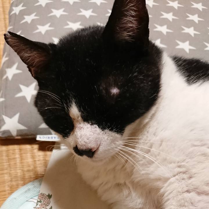 9f1eaf92 49d8 4b56 9d79 190eebceda33 1568378104075