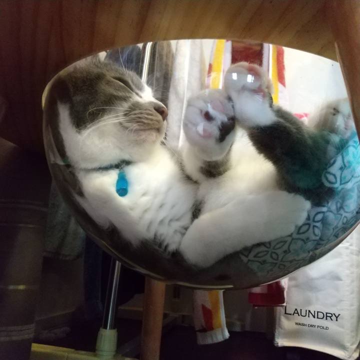 9f1ee120 745a 4f61 b22c 9cf0182d353c 1629762518561