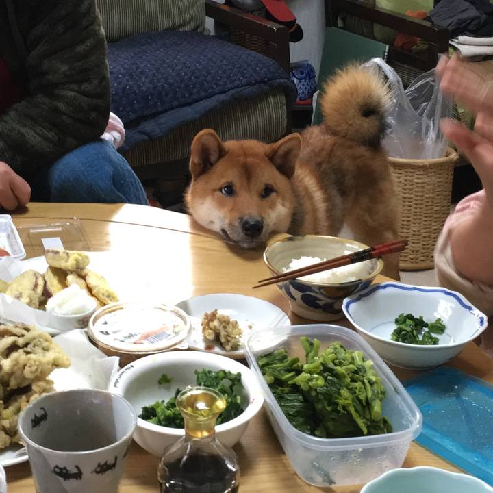 9f1f134b 92ce 4444 8ca9 0e99393c06da 1523919206044