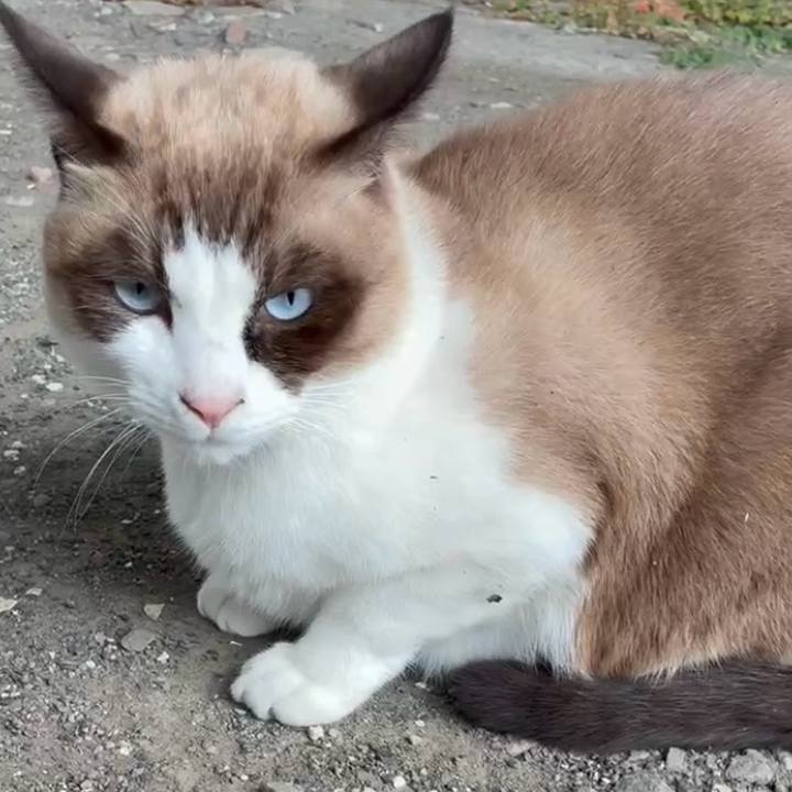 9f1f2ef6 92fd 4efe 887a 6dd855aabb5c 1763541838672