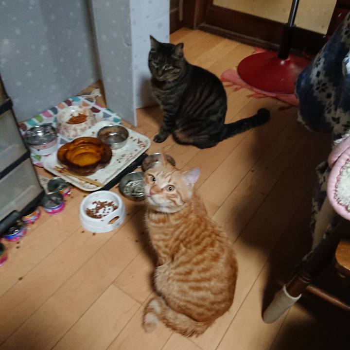 9f1f5656 d397 4e89 b9ef 747f384e79f7 1643020574944