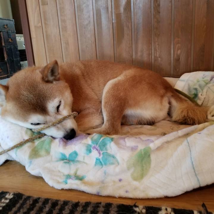 9f1f688c b2a2 42ed bb27 6669c93d61a6 1565409154156