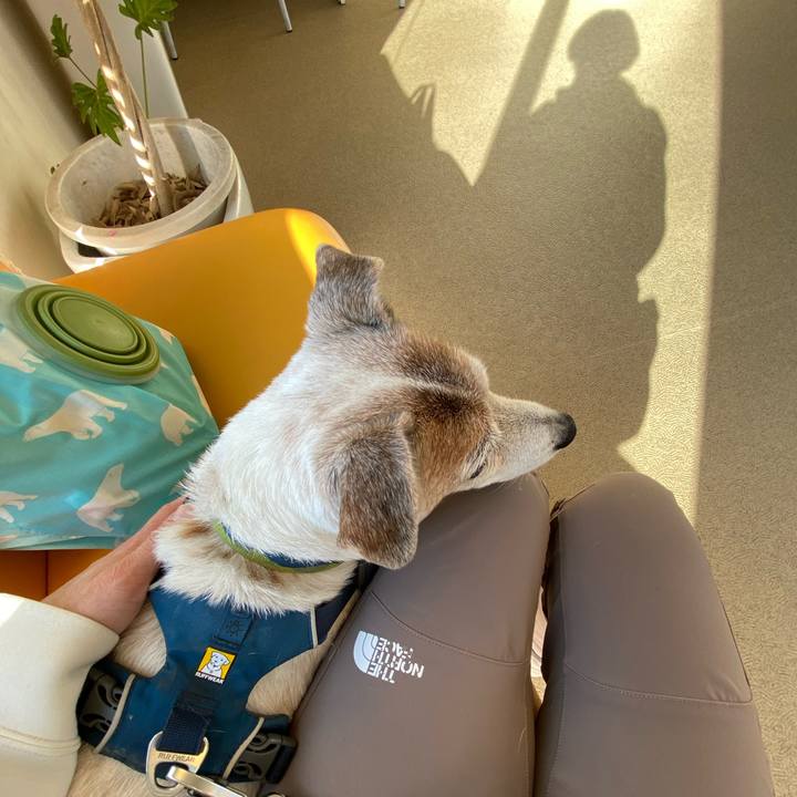 9f1f7df9 df1f 46cd 8383 cef97b3232d0 1668816952347