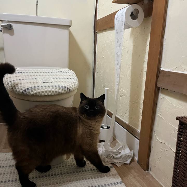 9f1f93bf f016 4e2a 804e 939f4128180c 1749120999134