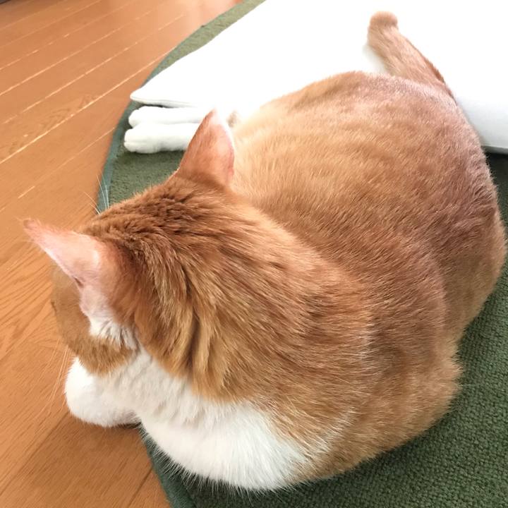 9f1fd095 3bbe 49f9 8a6c c419097773bb 1559614921454