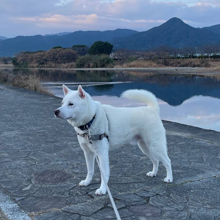 9f1fd2b9 b1d0 4aaf a0a4 09759f42ec2a 1706309148761