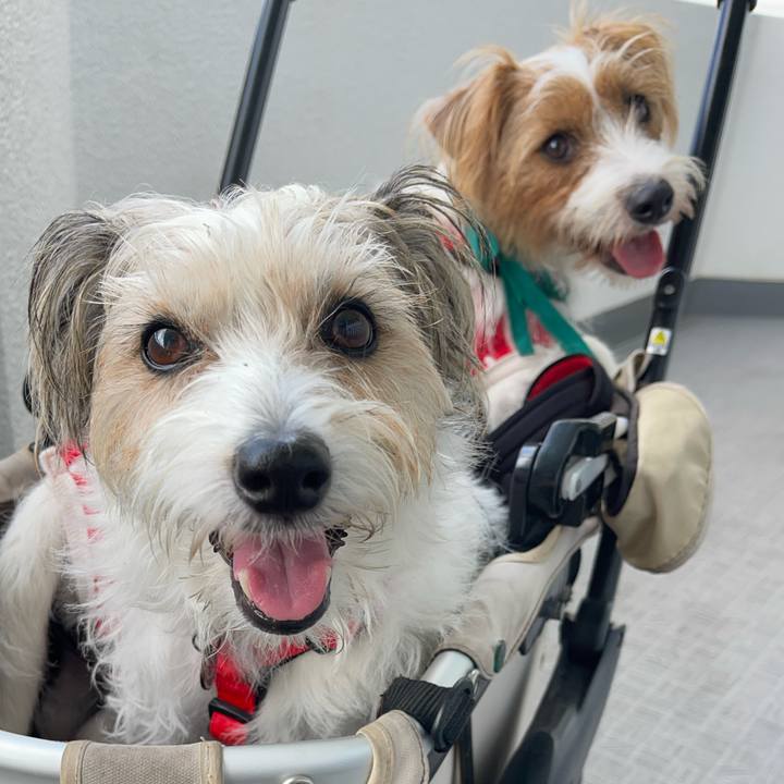 9f2025d2 8496 4a53 8067 6a06ee5350e0 1759717733518