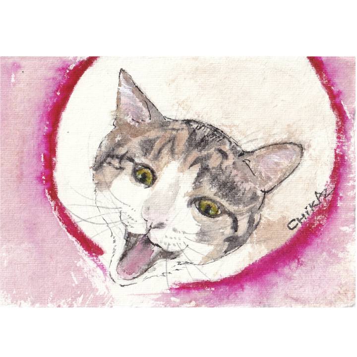 9f203b7f ee8e 4b8a 893e a67df91a5ce1 1766999959263