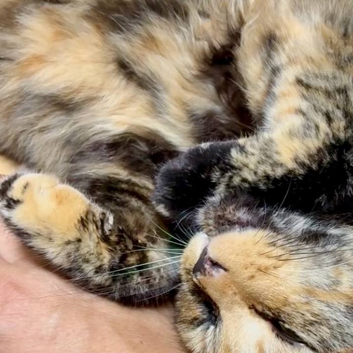 9f2055f1 9d9b 4e45 b198 db38a4c34191 1752918168852