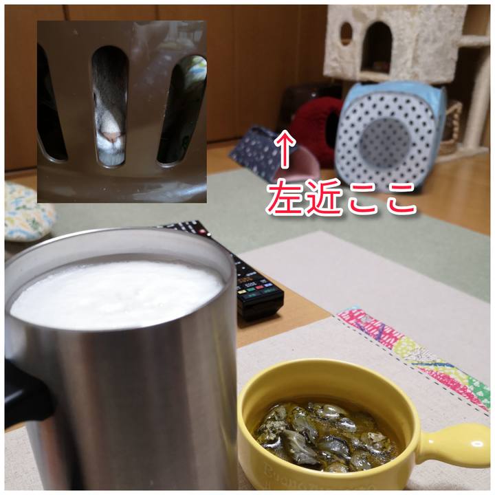 9f206586 45c3 4942 a80d d925f4bf8e3f 1596889957358