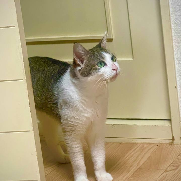 9f2088fa 17ba 4d81 af1f 41fdd0fed4ed 1626414058217