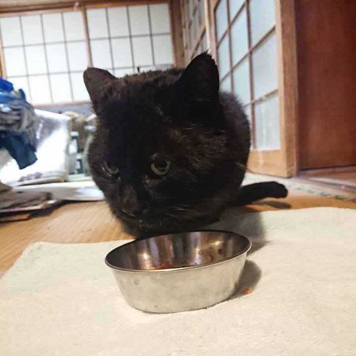 9f20939e 5141 4edb b7a1 a8e3dc42d15b 1614508416621