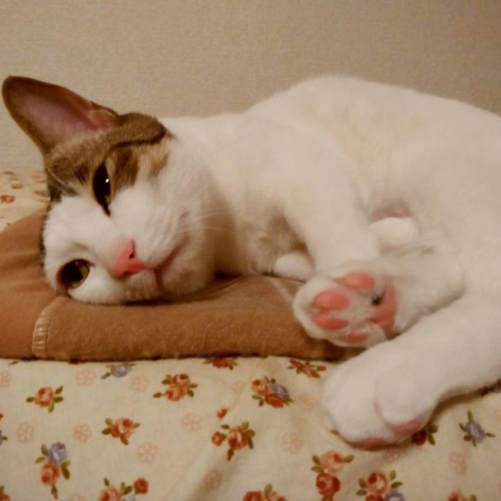 9f20c6a0 e230 493f b44e 4cc35e28243e 1681041700696