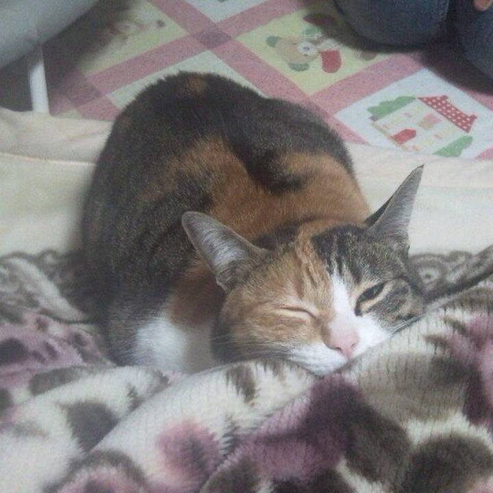 9f20c76a 9a78 466e bd3a ba870c4e063f 1572790931149