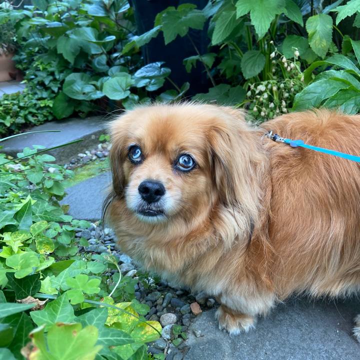 9f20ce7e 6e36 4126 b6c0 56a278eed824 1654810252128