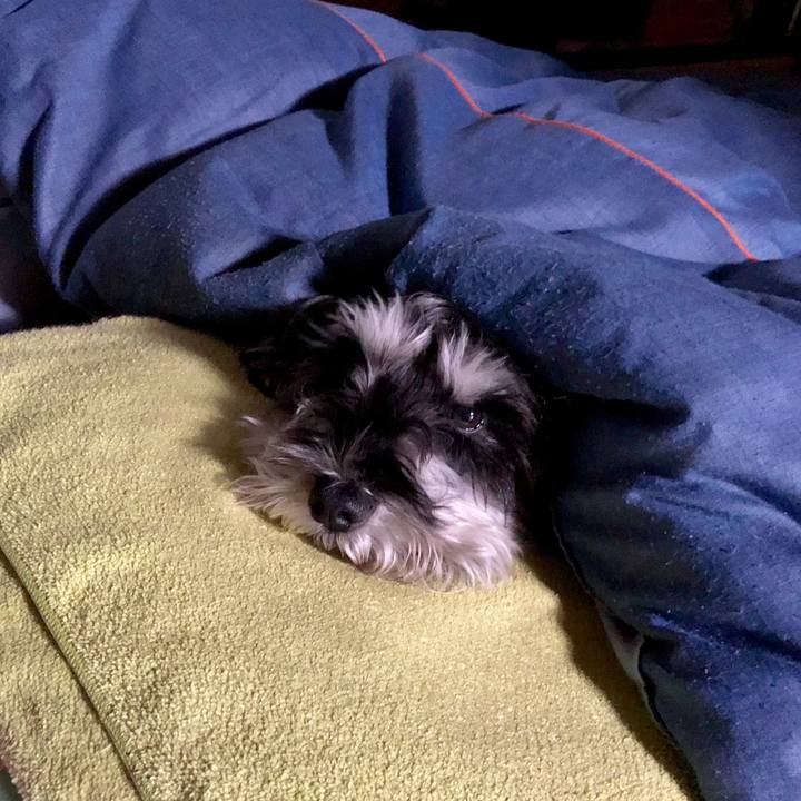 9f213234 afe9 4200 b6e7 4fb6d79bc92a 1543275723490