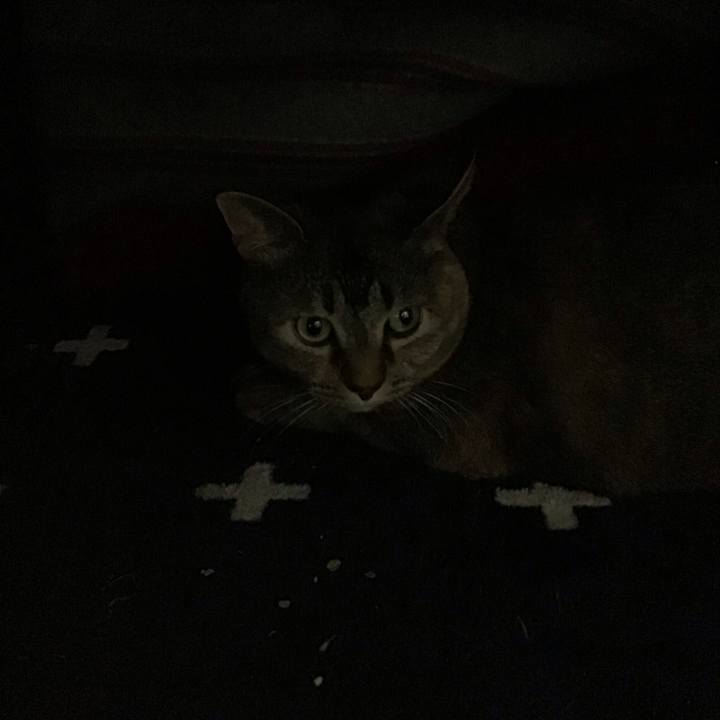 9f21369c 7b23 451d a718 ec104a811103 1738407241006