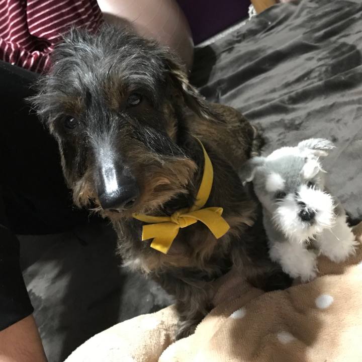 9f2146ab df2e 4798 a89b 70e9cb74b07e 1548081326284