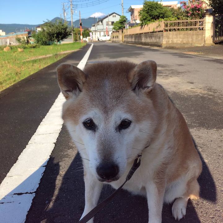 9f214816 a69e 4592 b31d 76558eba0918 1601277226963