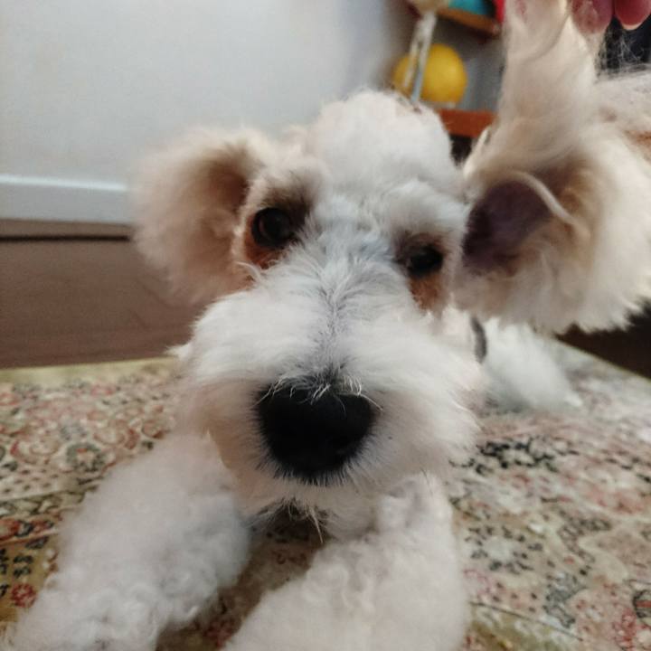 9f2166d8 408e 441b b22c aa365381597b 1565243779973