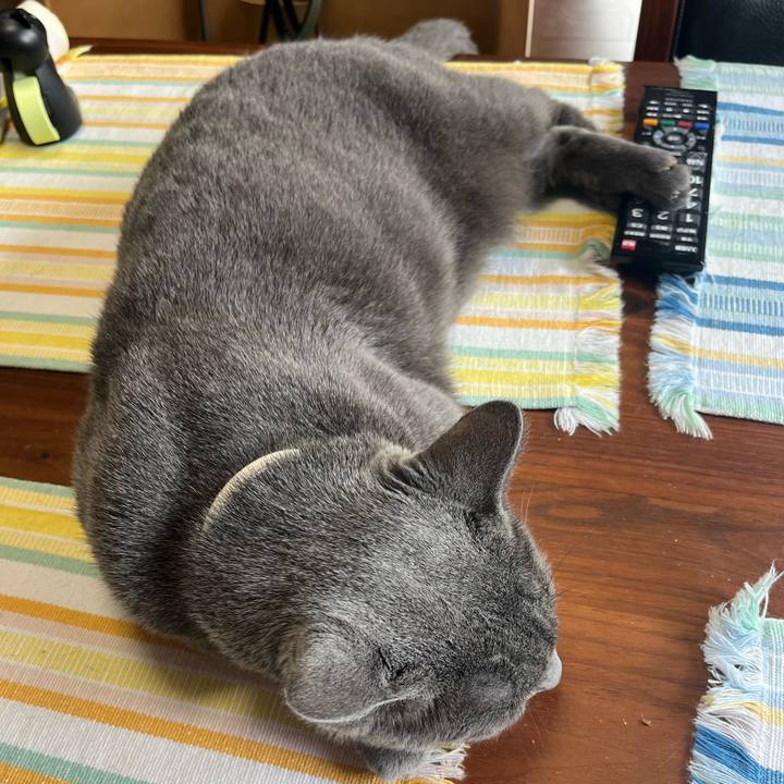 9f219282 996a 4440 9001 7942ad2d000e 1688262147033