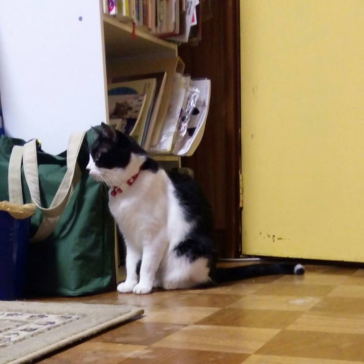 9f21afa4 e12a 4f8a 86c4 9b8d524383fa 1507728636731