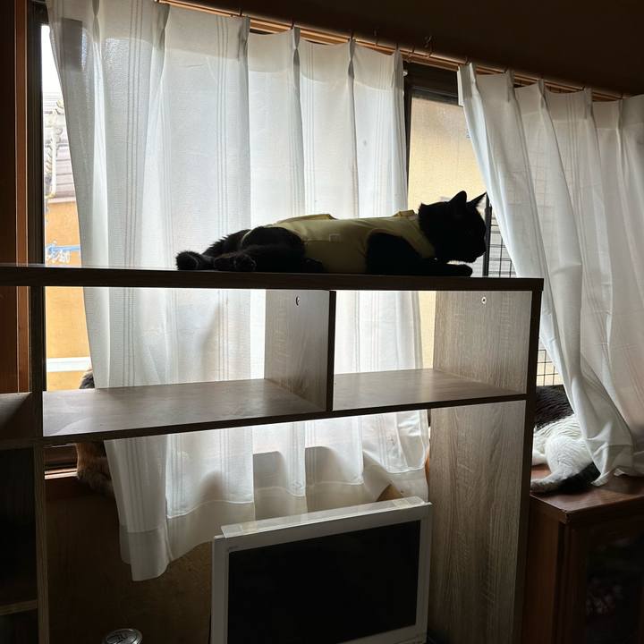 9f21d185 5d14 44b3 8c9d 27c502a15110 1720489181995