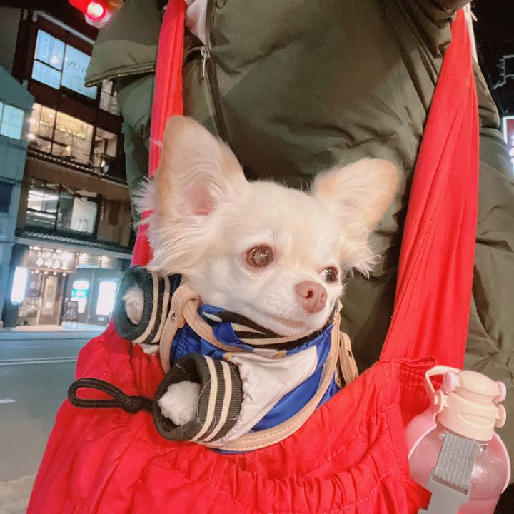 9f21d223 9d34 490a b02b ef6804d4b039 1672473466264