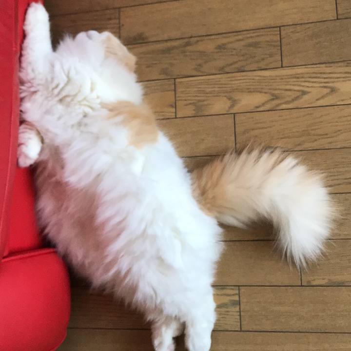 9f21e429 ca3b 4506 a39d 4eec7e0eef1e 1555201943997