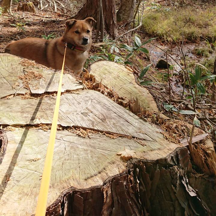 9f220c35 ef6c 47e2 aaa0 a576ab28446d 1645362351742