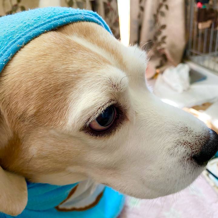 9f22128d bdc1 4486 b2bd 393e3d5b7a8f 1611200782001