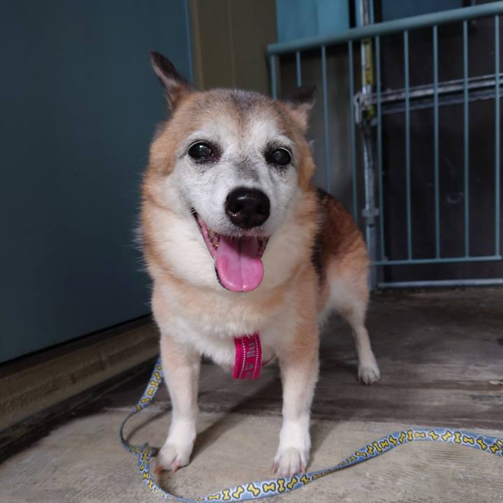 9f223450 d0d7 4ff2 ae5f 74cc073a4fc4 1724334341249