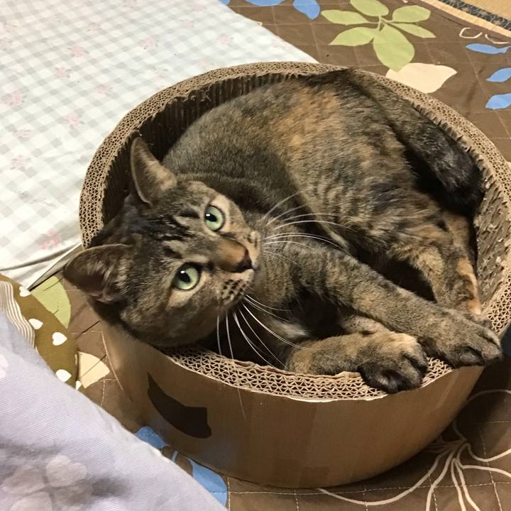 9f223605 d299 4129 8b03 8d765e8dd5ad 1733133341078