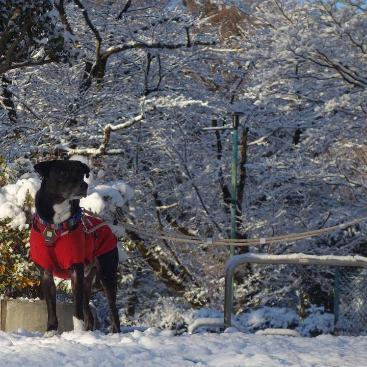 9f223de5 eaa9 4e91 8621 26c8af59ae51 1641515755774