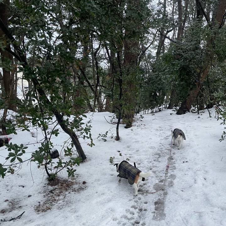 9f2244d9 8b87 4c1b a697 ccbc17341301 1769901660710