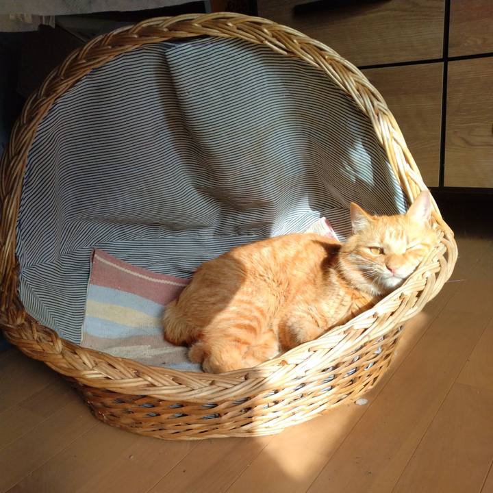 9f227333 a358 480e 9e1e a7ce4035577e 1667192254403