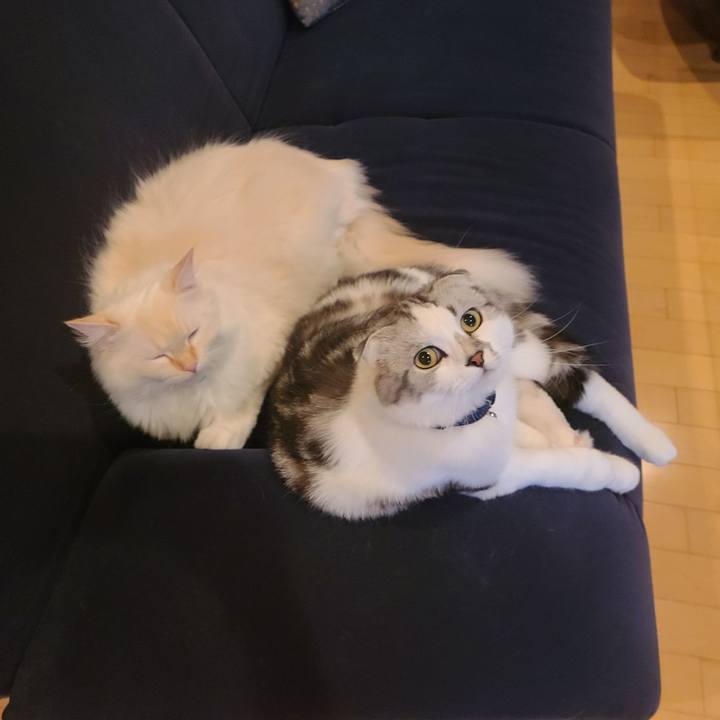 9f227998 8ebf 4270 9106 8e6bc938abf4 1685695930268