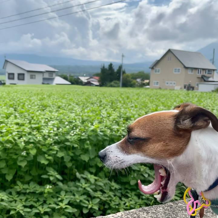 9f228550 9a82 4254 a5bd 34e672c26c5f 1629704288953