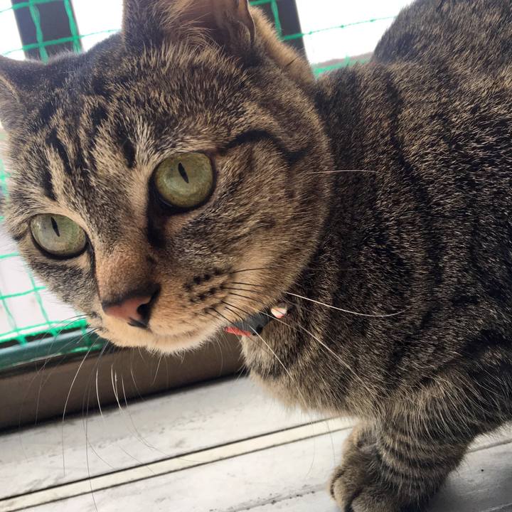 9f2286ca 573f 4cf6 a236 68a0a0a54647 1518513961458