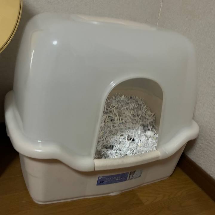 9f22b66f 1c17 4899 bcb4 c4475a7e3747 1766756472830