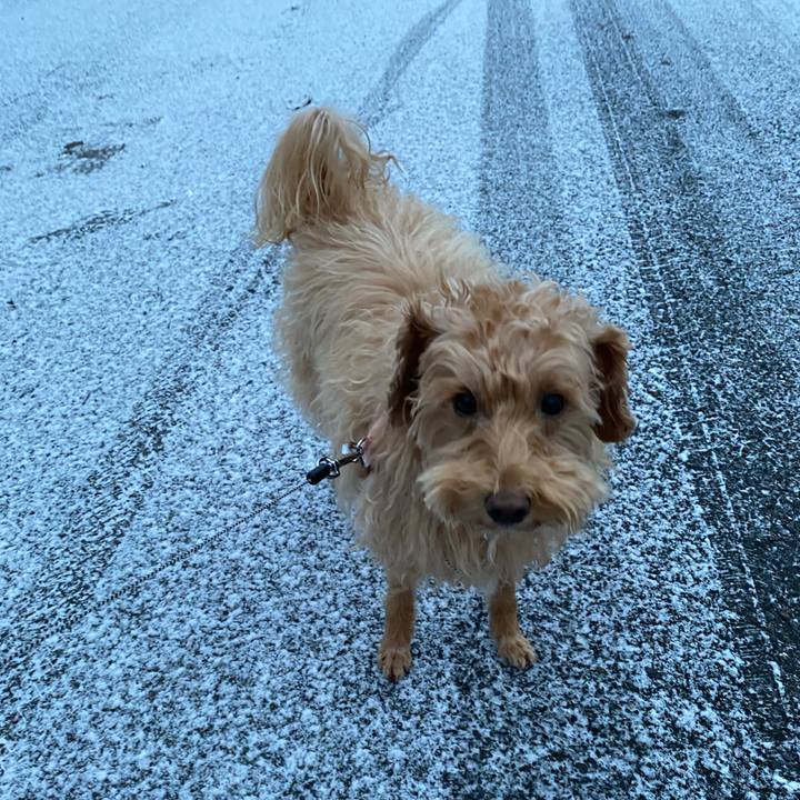 9f22bde3 e211 4933 ad28 f46ad012e1ff 1637790175431