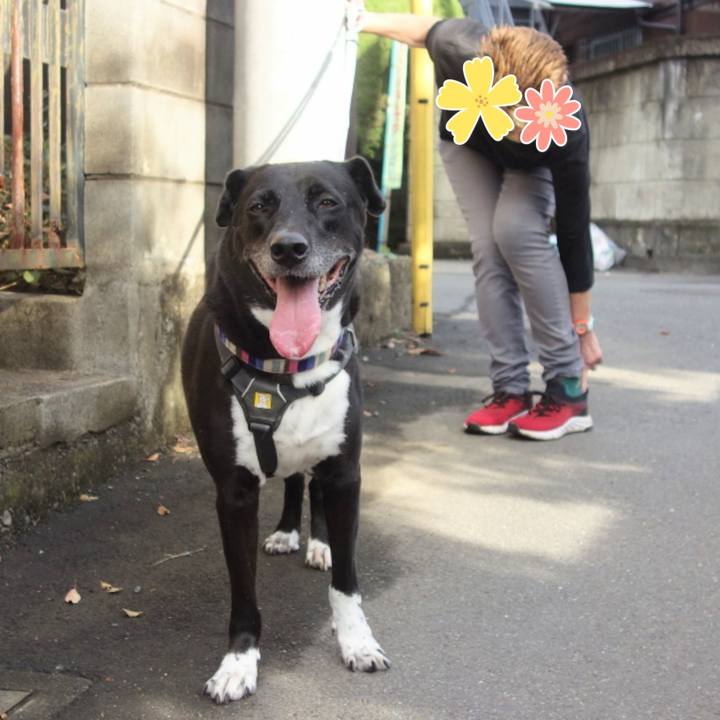 9f22d246 8401 4a39 9e96 d60f6b76789e 1665448355455