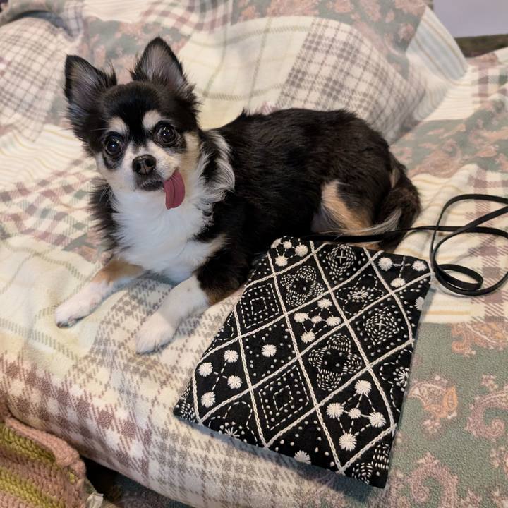 9f22e0c4 de51 4bba a5c4 6f6500e874dc 1767092665615