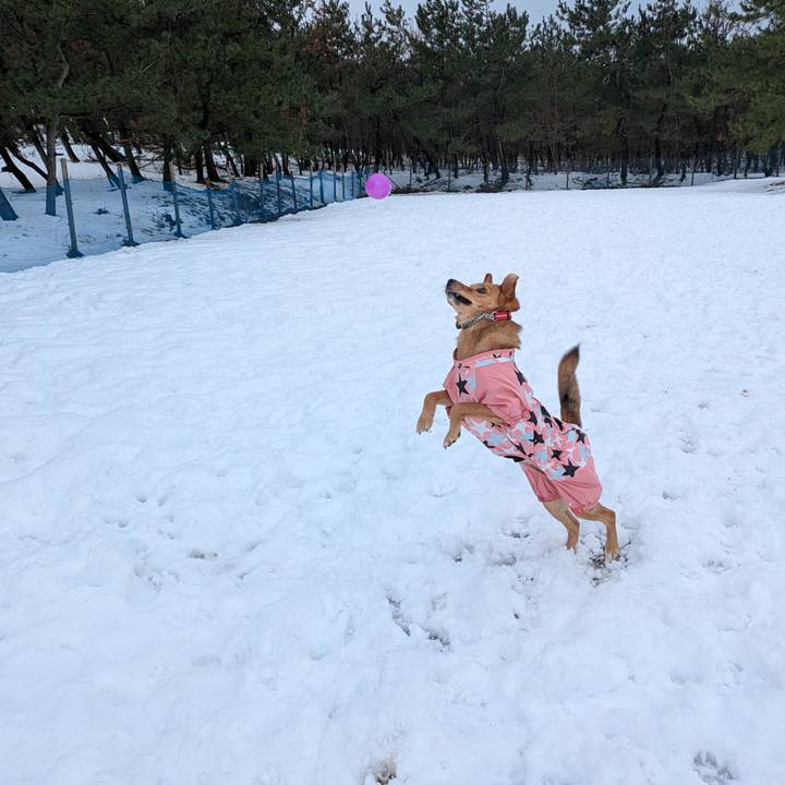 9f22e97d b9d6 4267 a9a3 99fb279c24a1 1767449339178