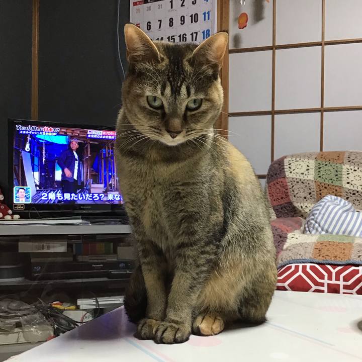 9f22ee0a dd69 457c b793 06e9ddb2516c 1586773324652