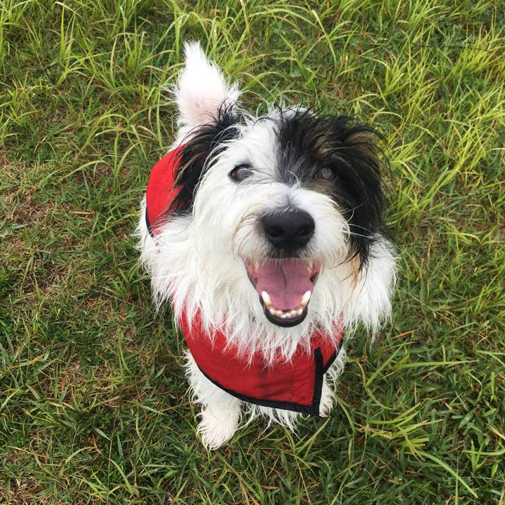 9f2303ec b956 4702 8c04 066d4e8c459b 1528320541151