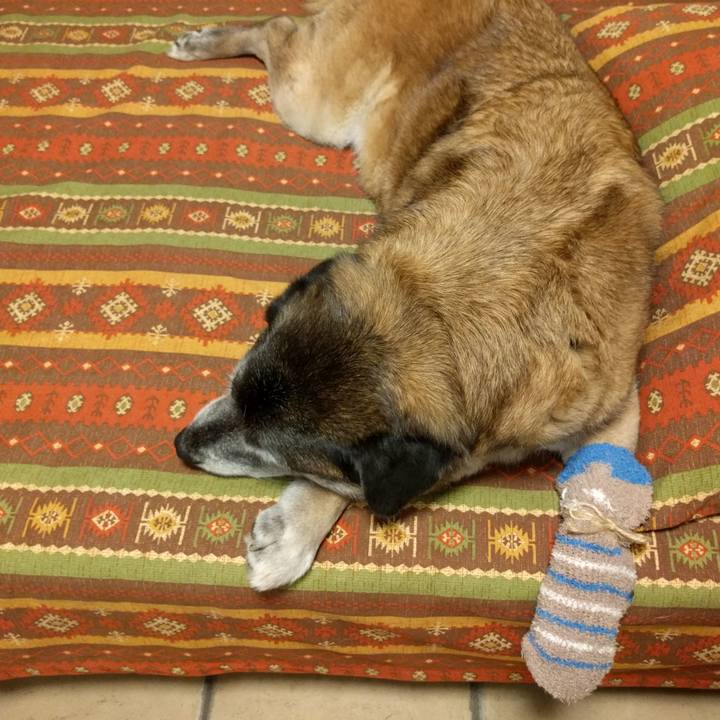 9f232261 1b88 4daa aa8b f4c148c01b58 1524652100899